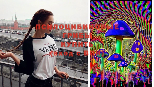 кокаин колумбия Лабытнанги